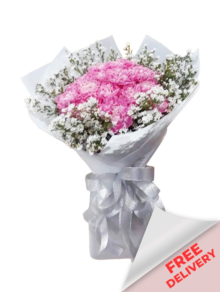 Enchanted Buds Carnation Assorted - 10pcs