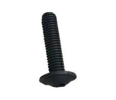 Raymond Screw | 5-007-026